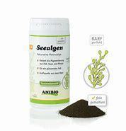 Anibio Seealgen 250g für bessere Futterverwertung, Verdauung und Pigmentierung